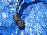 94-01 Acura Integra B18 VTEC reverse sensor manual transmission B18B1 5 speed 3